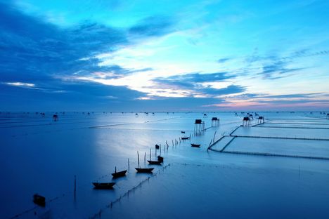 Không gian sống tràn đầy năng lượng với tranh vẽ bình minh
