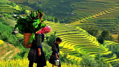 5 Địa Điểm Lang Thang Bí Ẩn Cho Người Yêu Thiên Nhiên Khám Phá